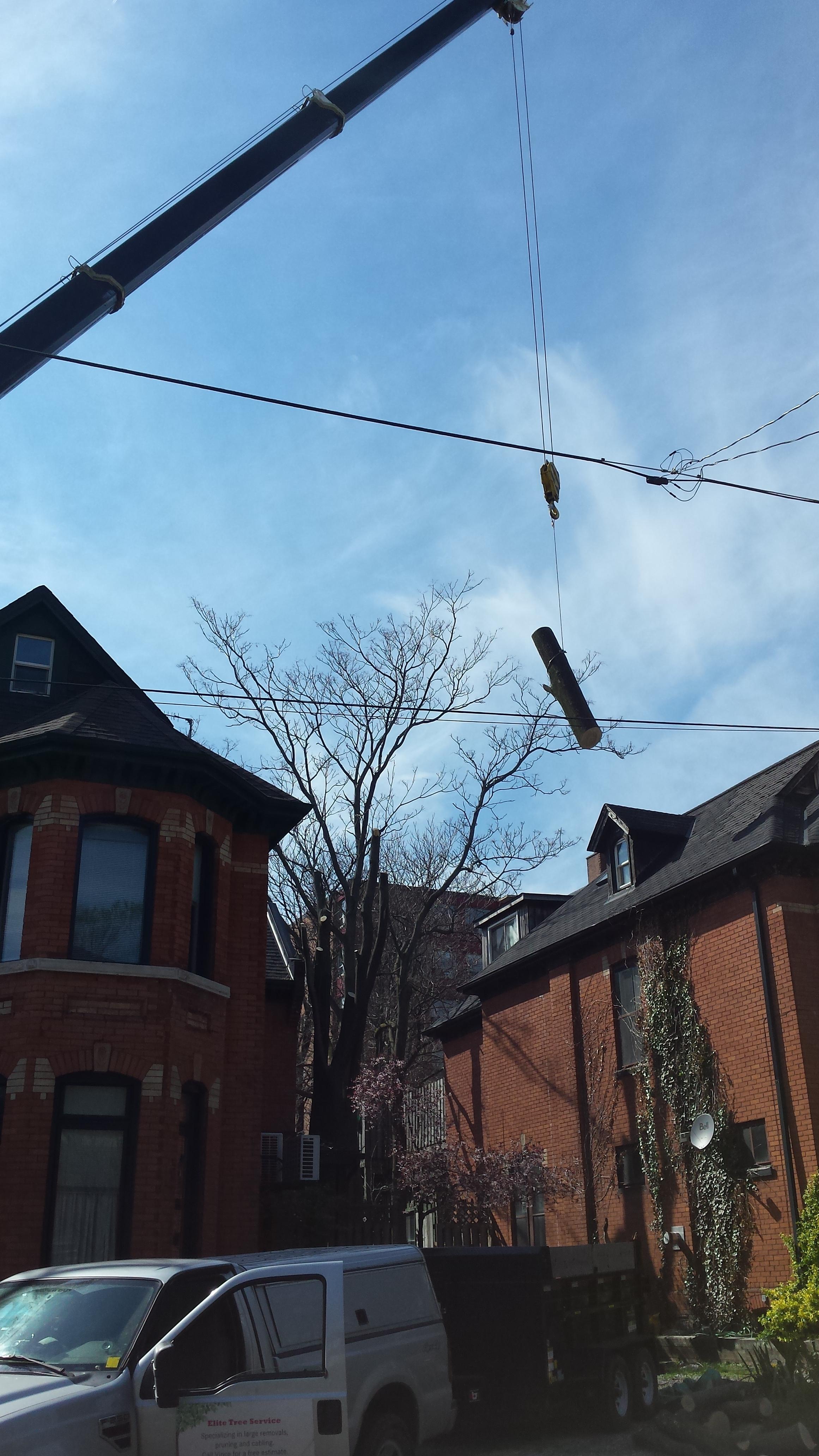 Photo credit: homestars