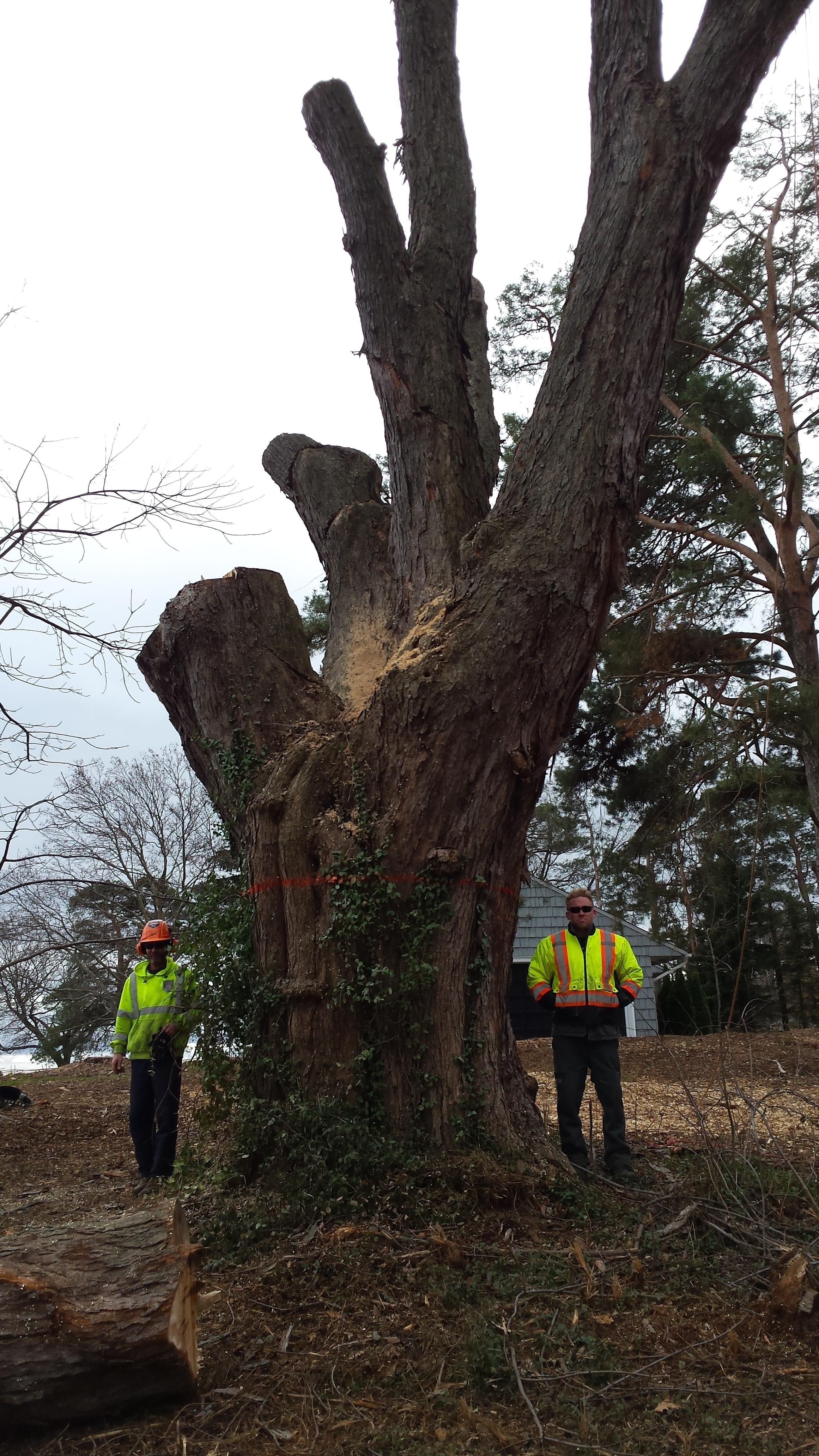 Photo credit: homestars