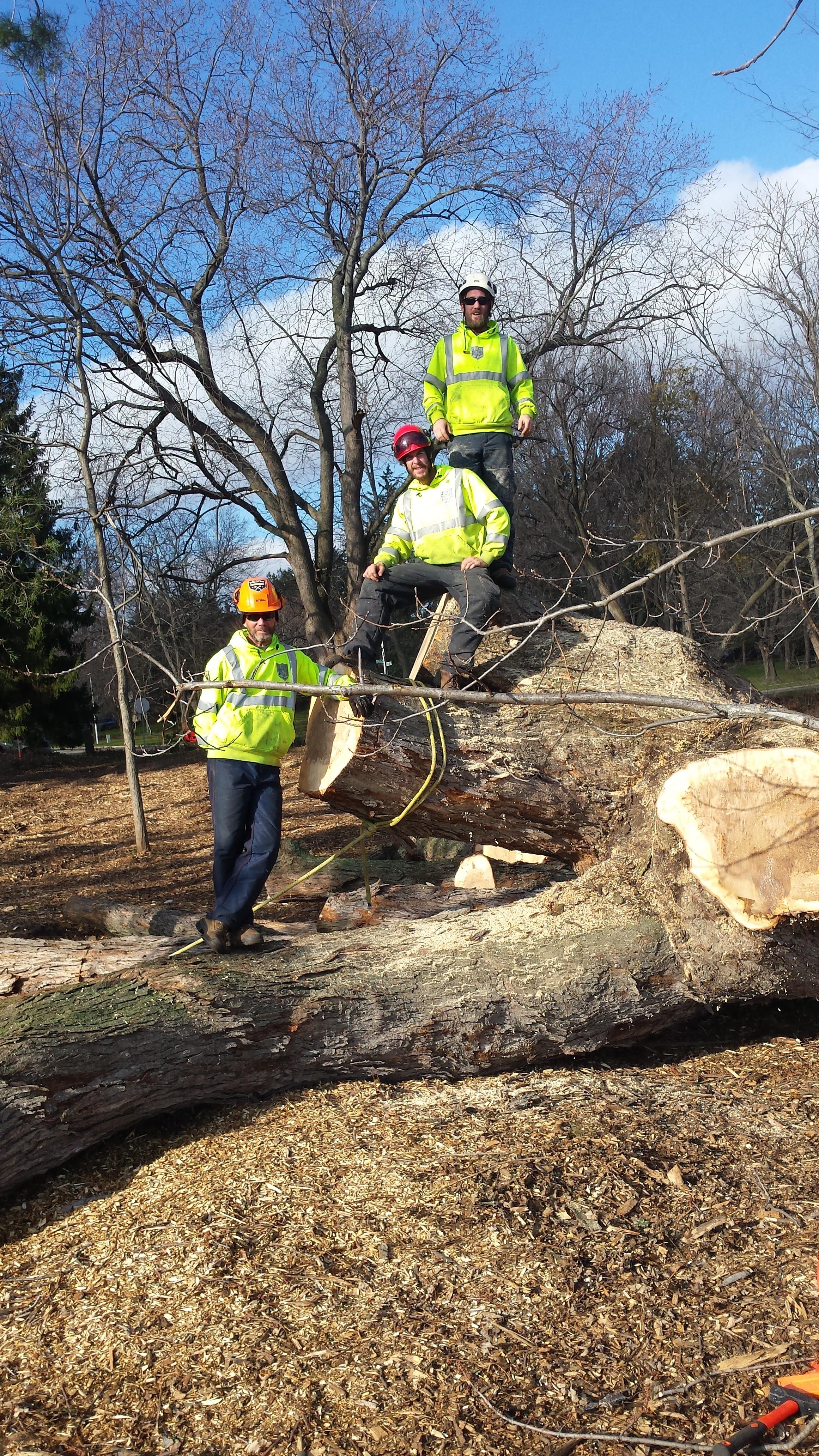 Photo credit: homestars