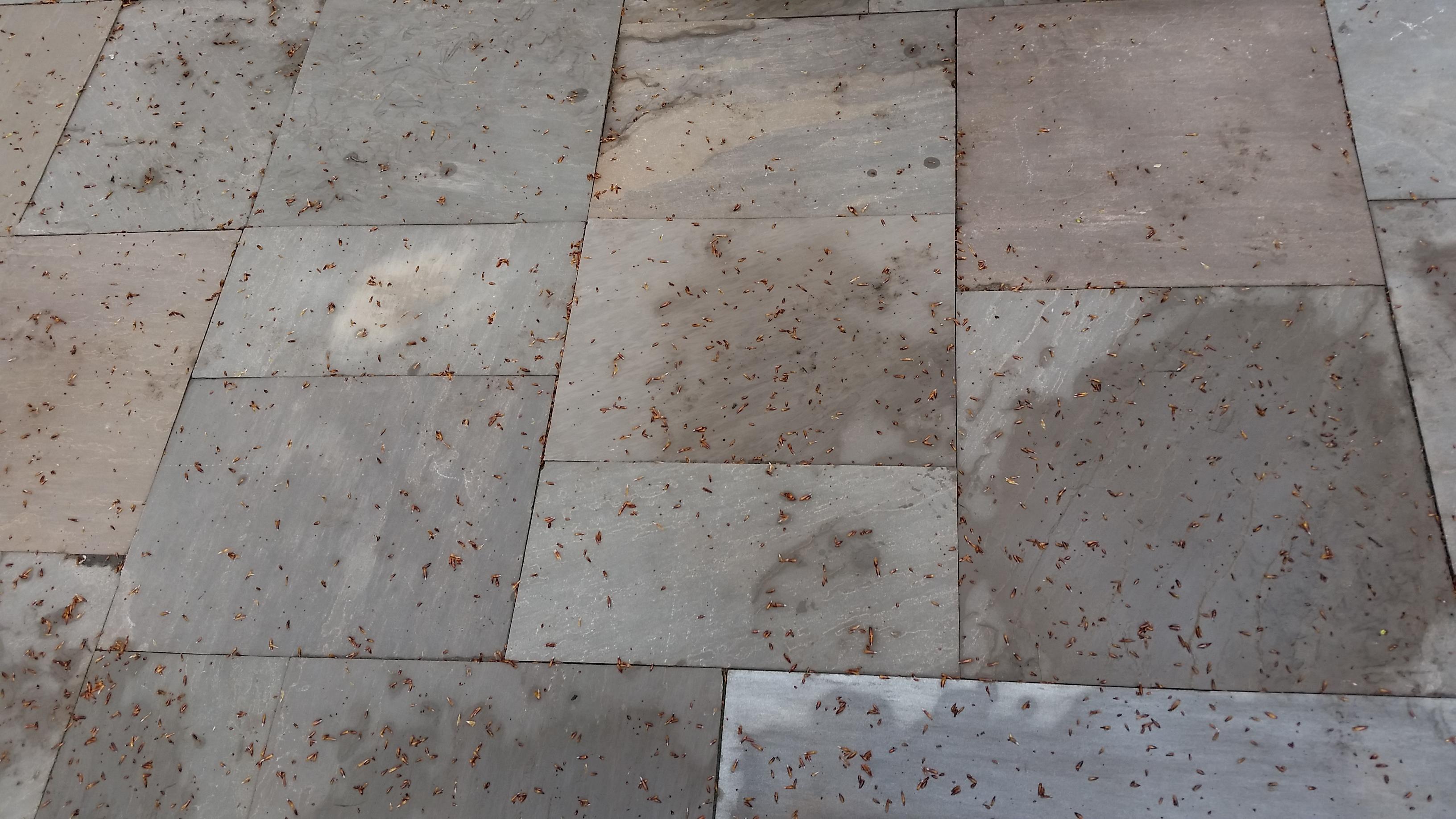 Photo credit: homestars