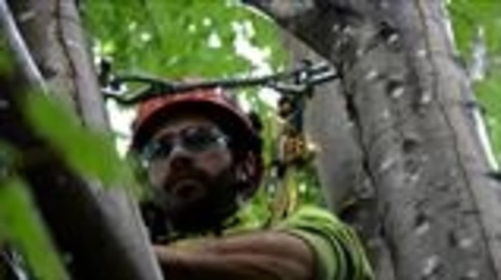 Photo credit: yellowpages.ca