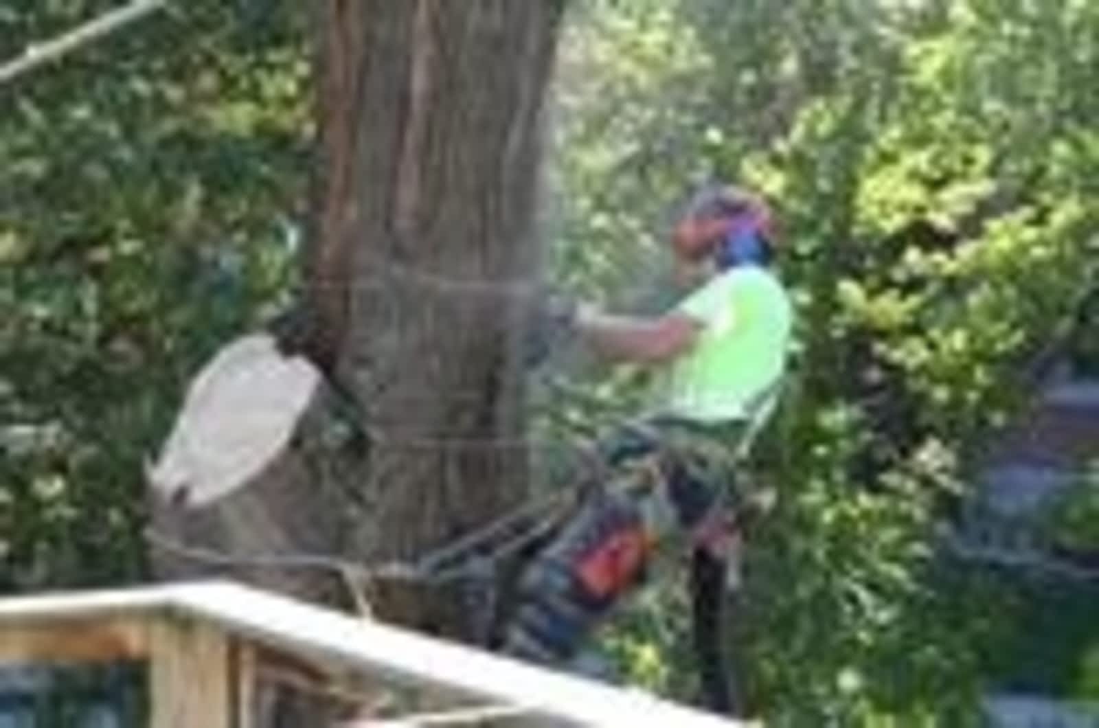 Photo credit: yellowpages.ca