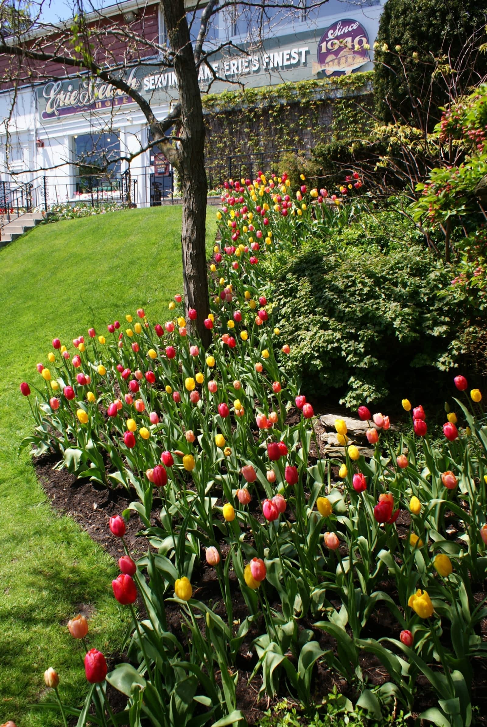 Photo credit: yellowpages.ca