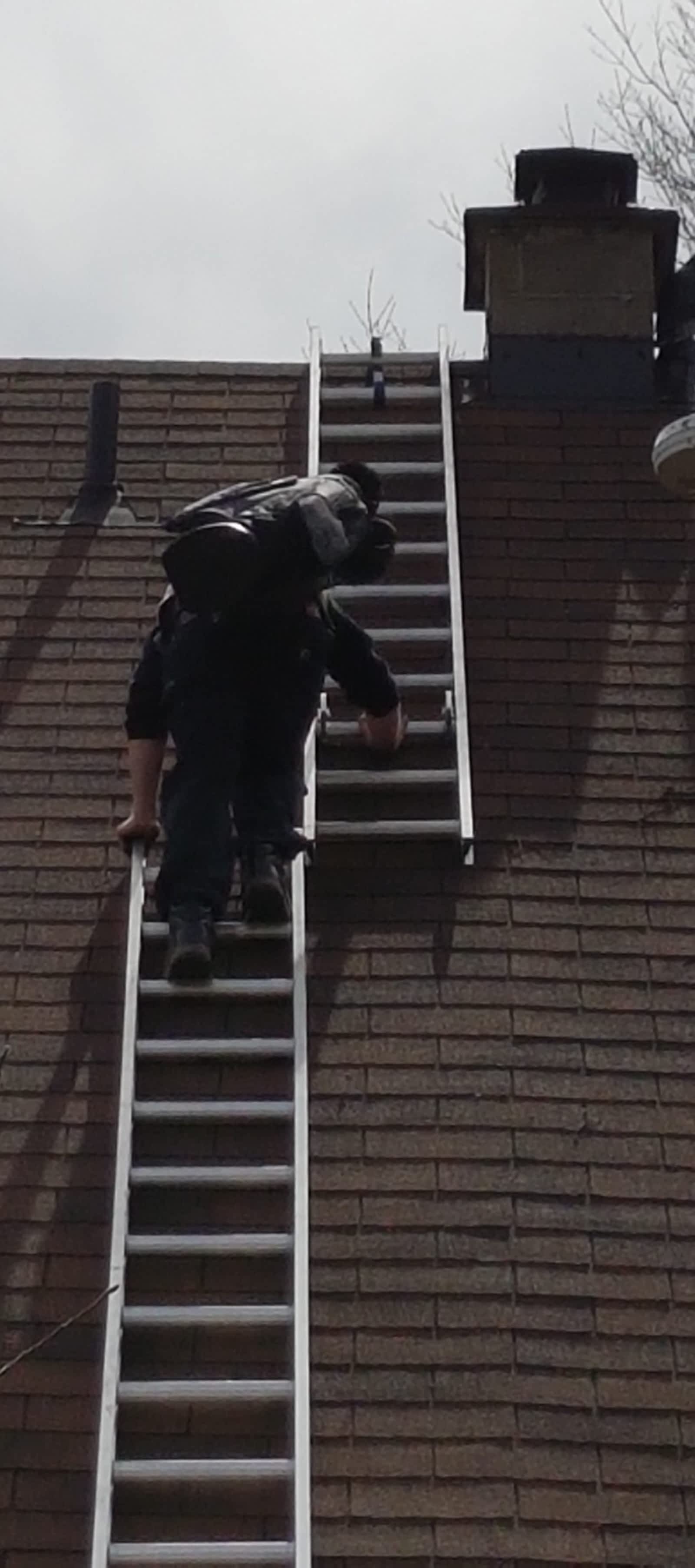 Photo credit: yellowpages.ca