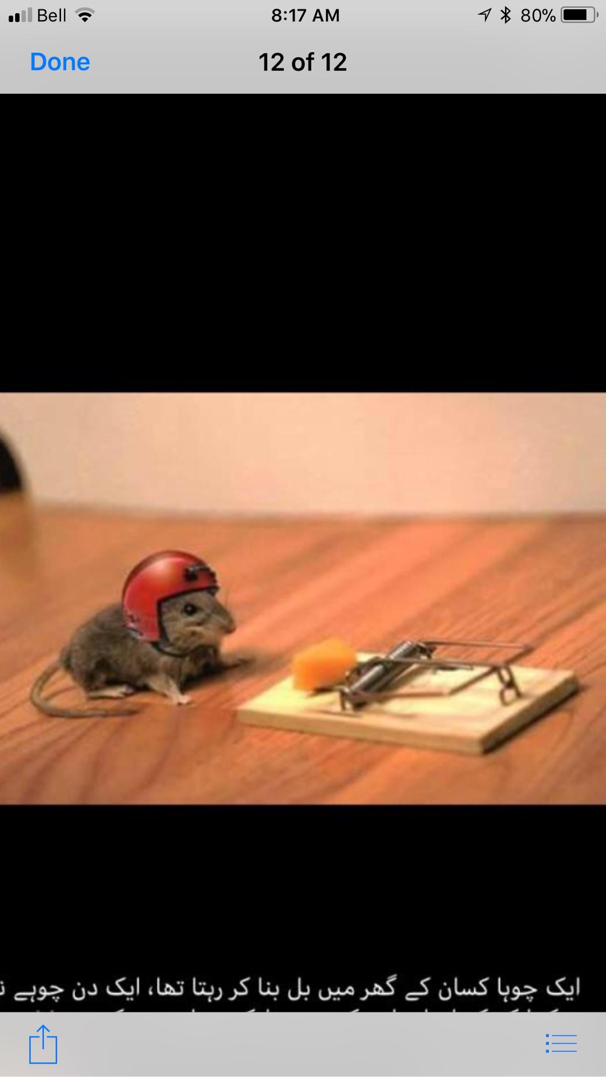 Photo credit: homestars