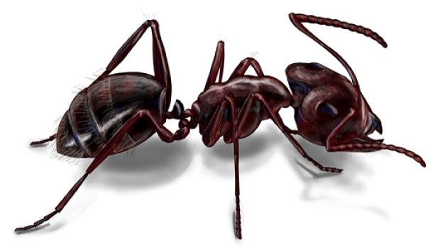 Photo credit: homestars