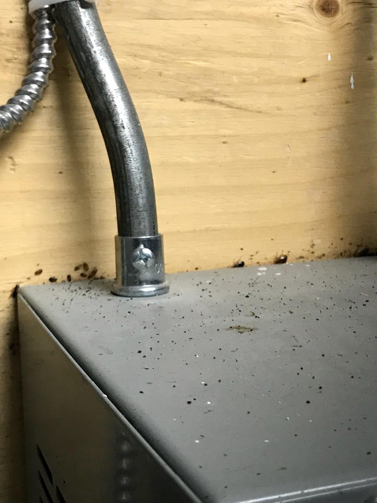 Photo credit: homestars