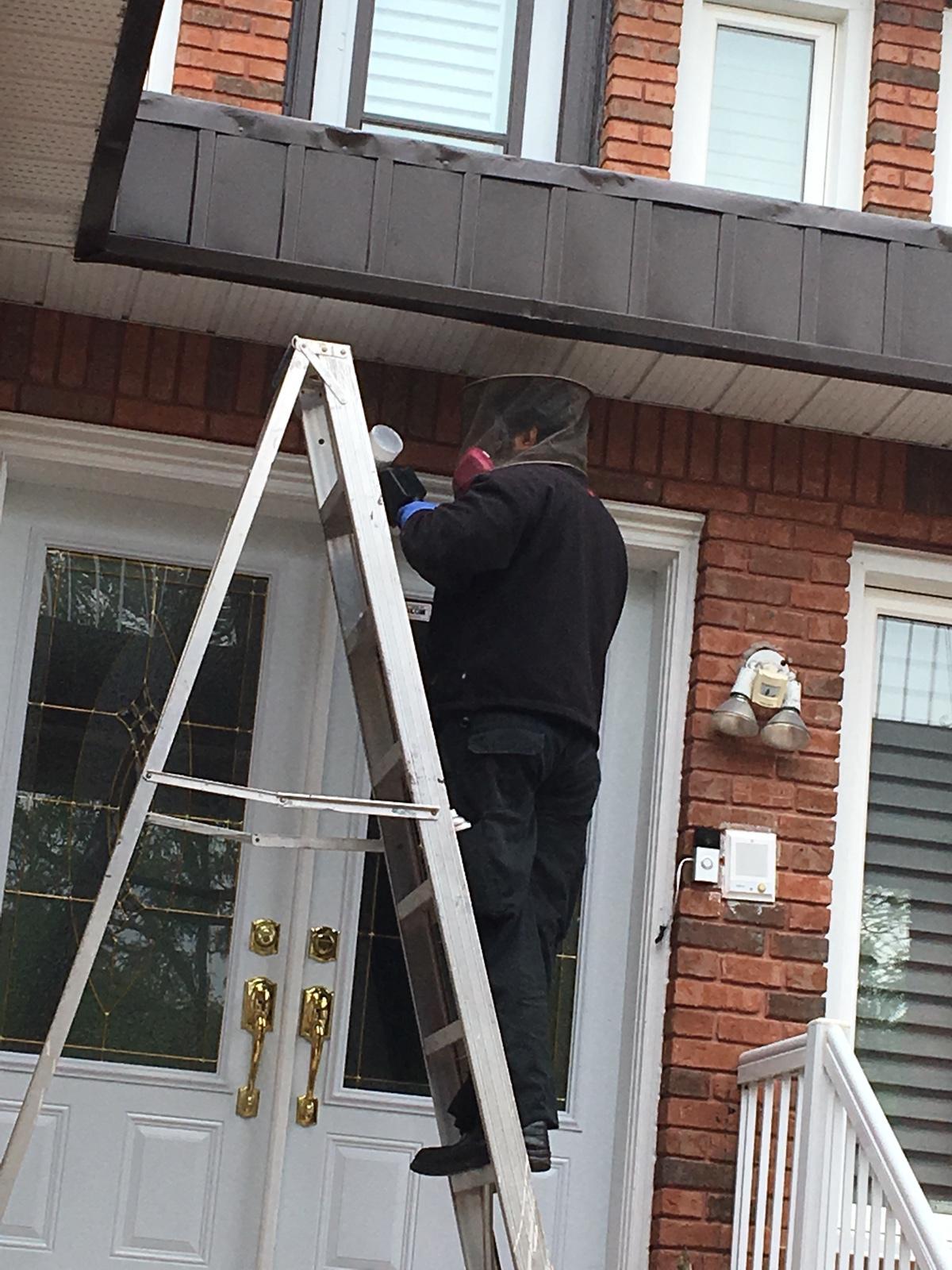 Photo credit: homestars