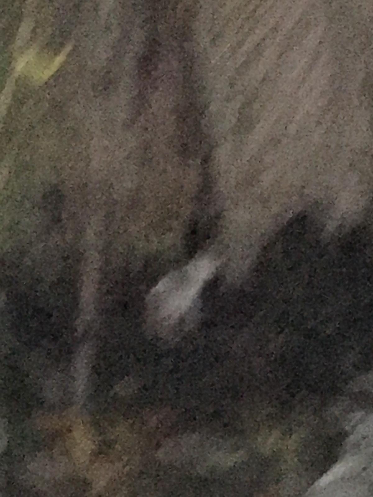 Photo credit: homestars