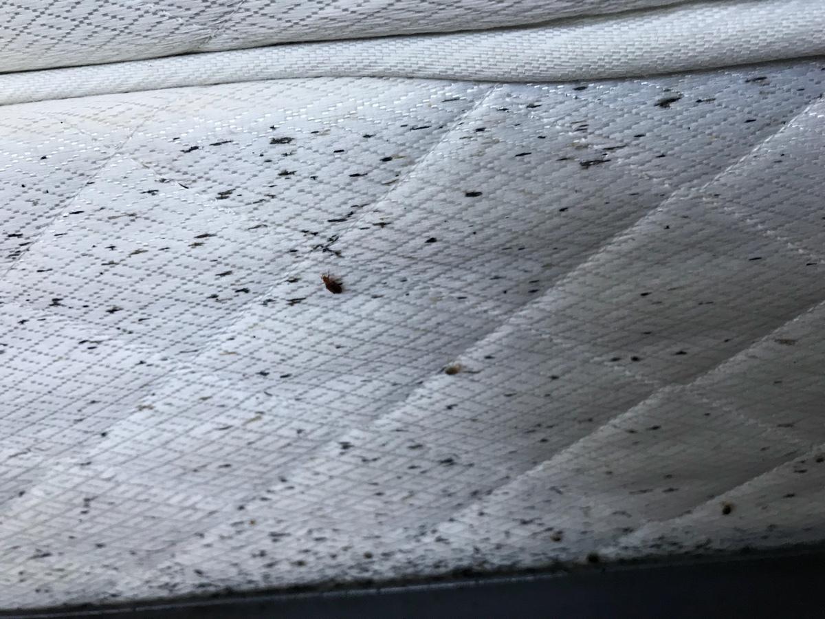 Photo credit: homestars