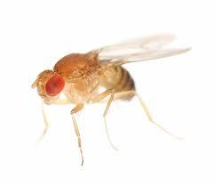 Photo credit: homestars