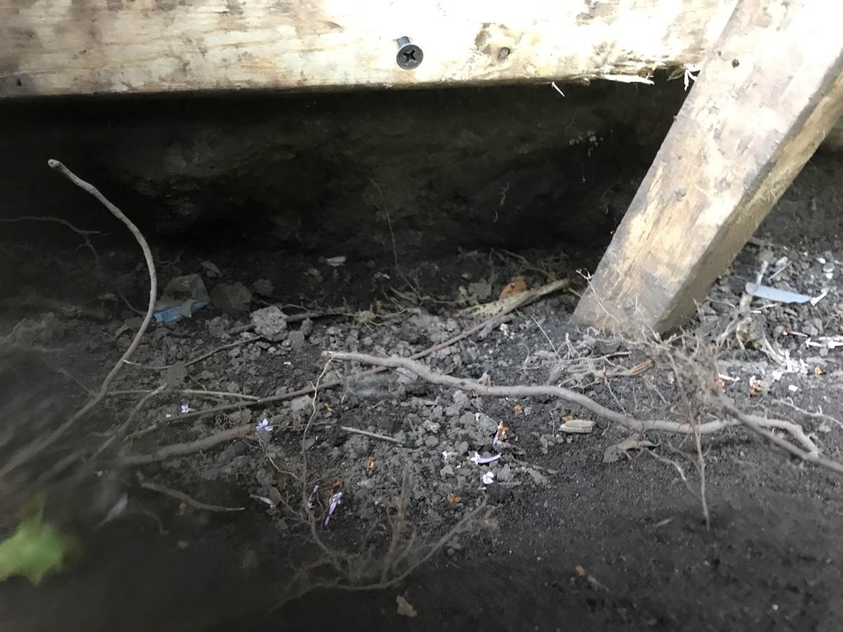 Photo credit: homestars