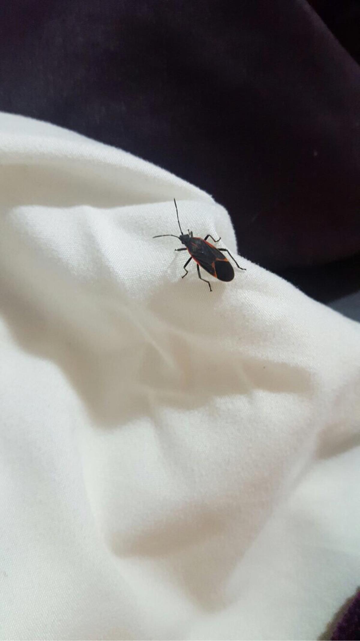 Photo credit: homestars