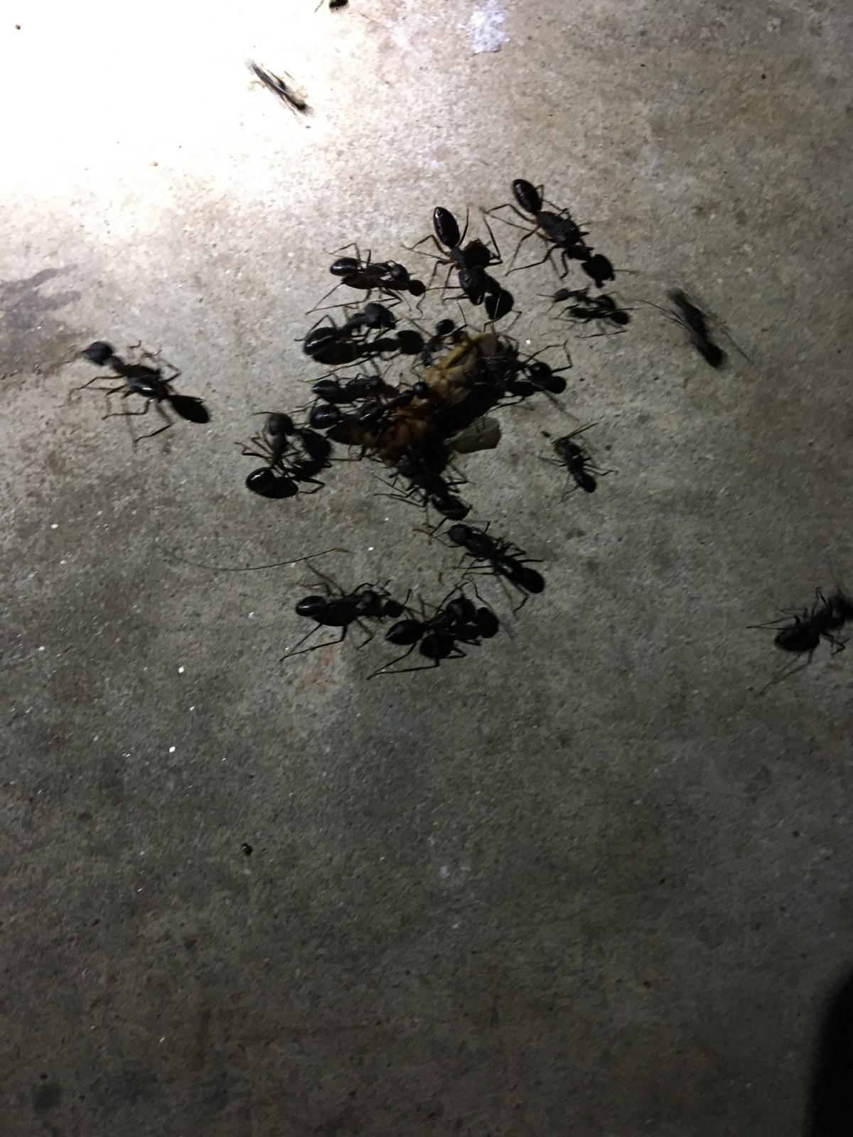 Photo credit: homestars