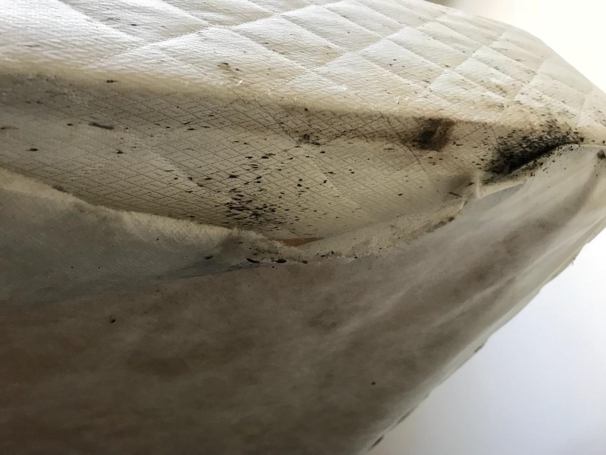 Photo credit: homestars