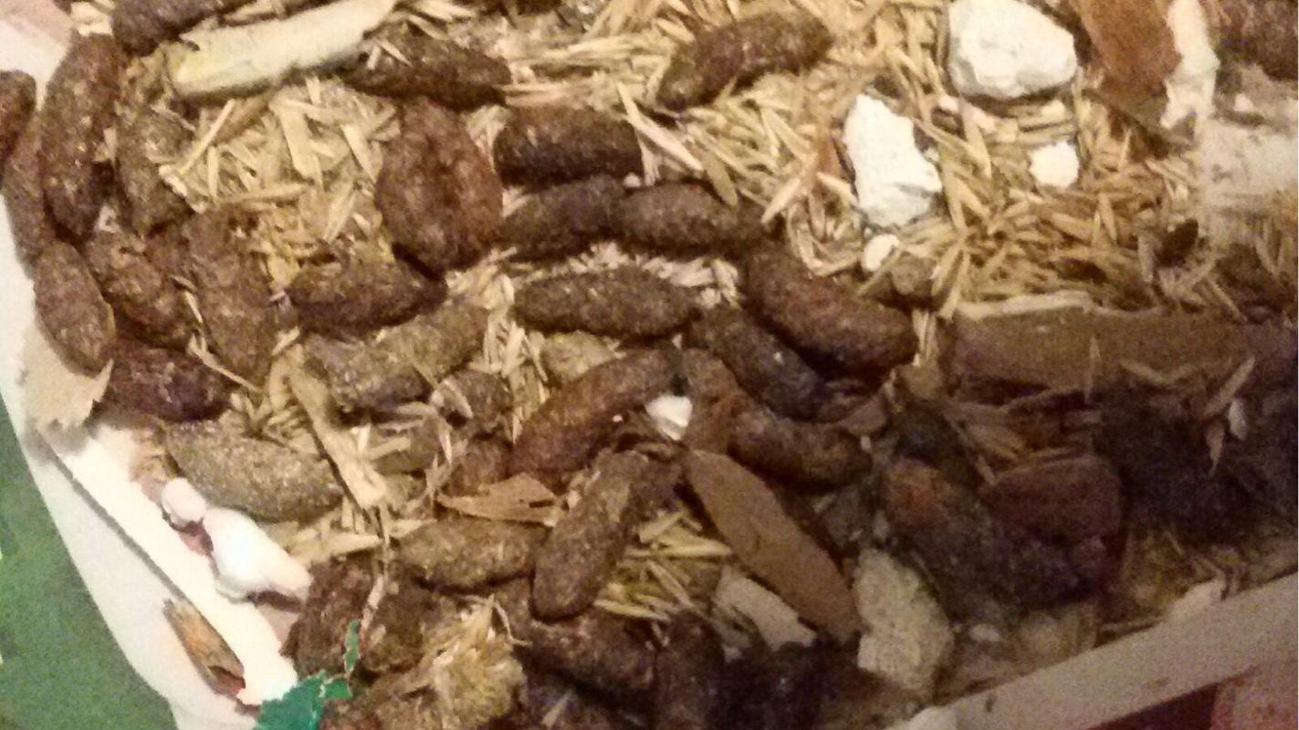 Photo credit: homestars