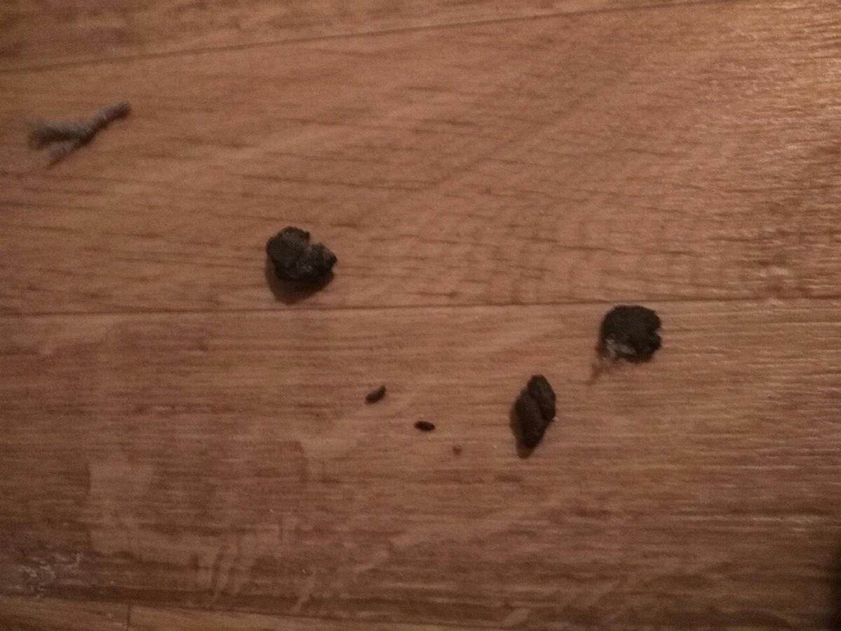 Photo credit: homestars