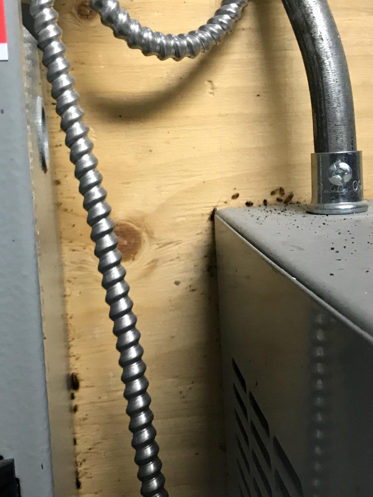 Photo credit: homestars