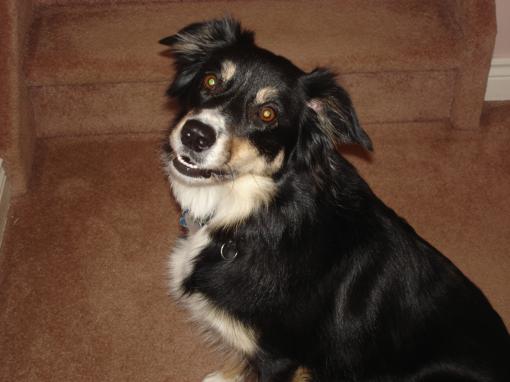 Photo credit: yellowpages.ca