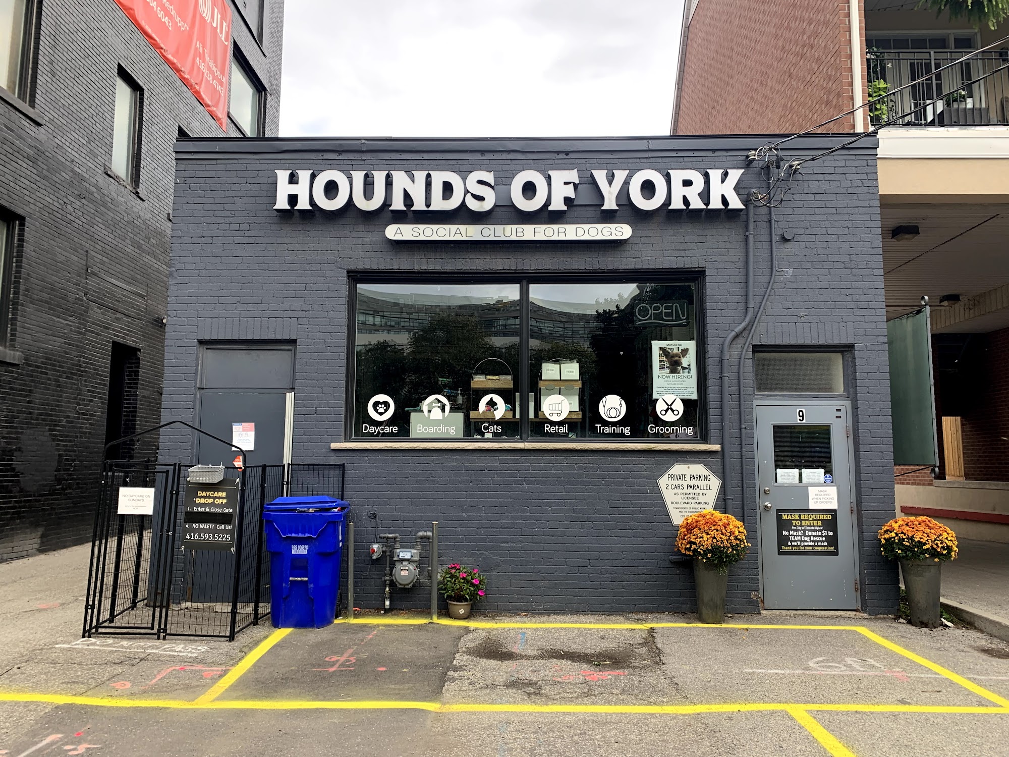 Hounds Of York