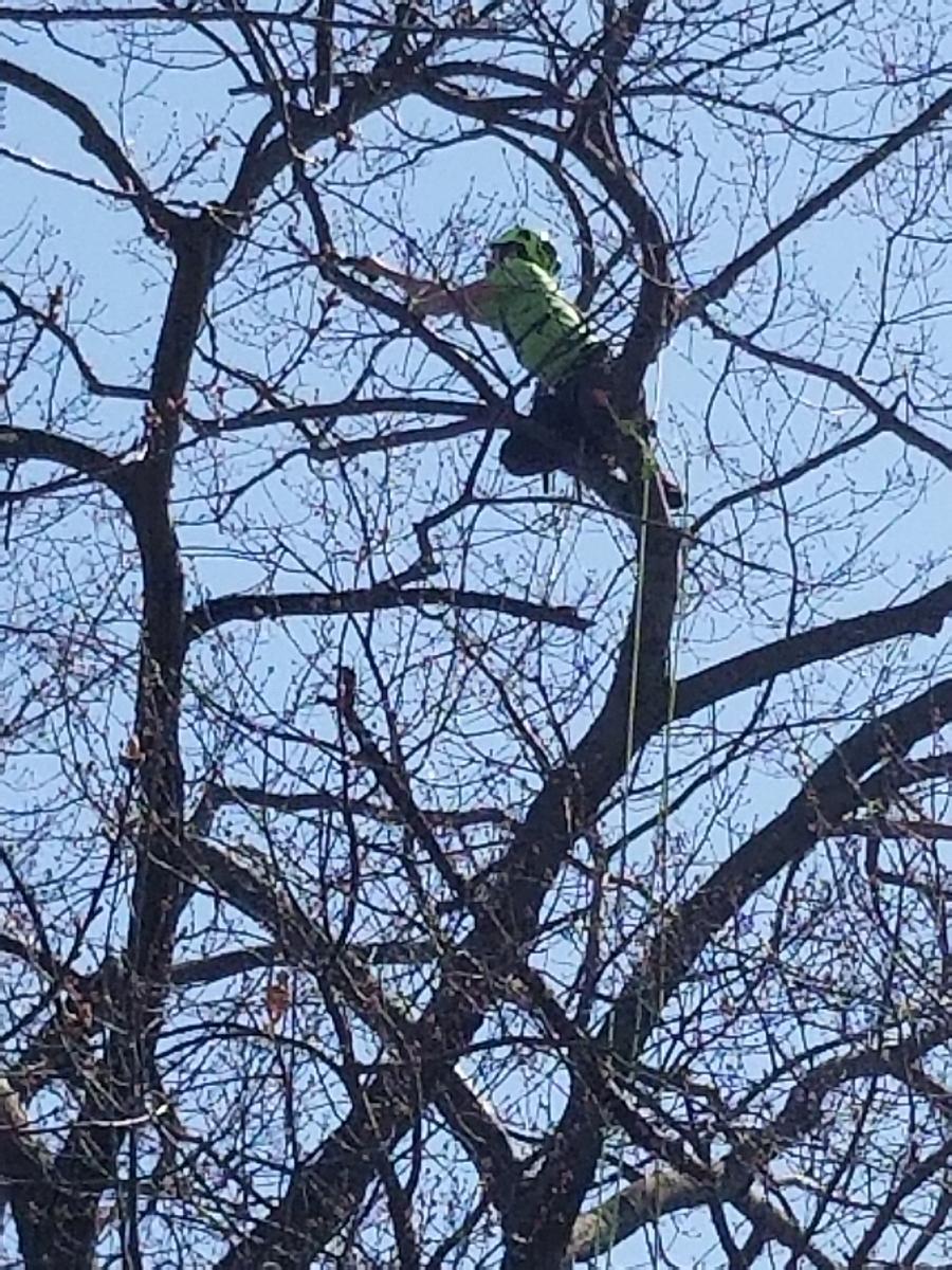 Photo credit: homestars