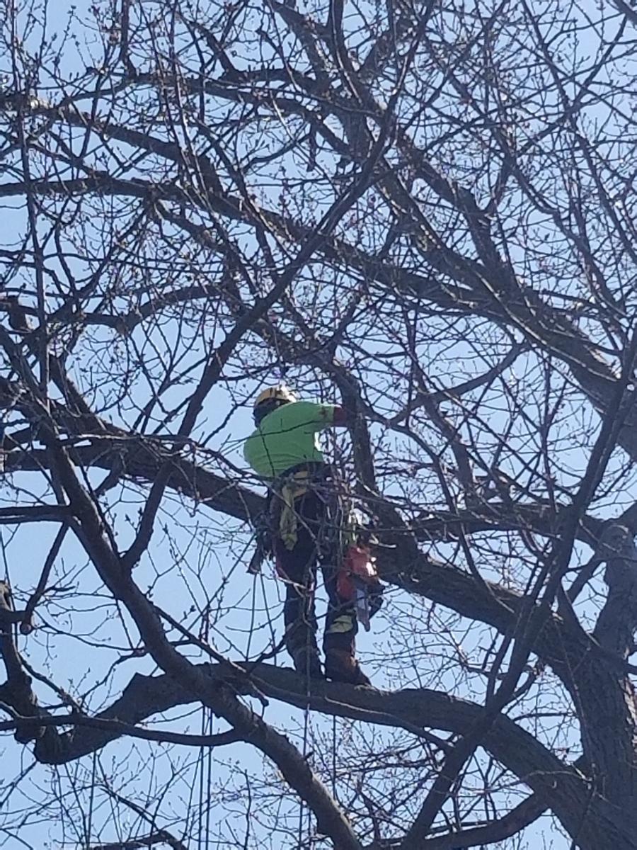 Photo credit: homestars