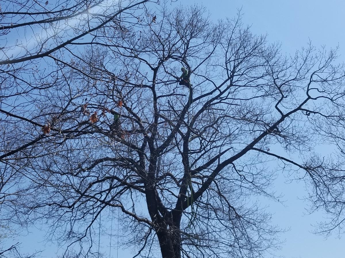 Photo credit: homestars