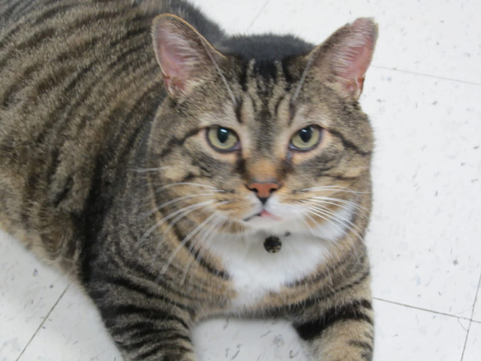 Photo credit: yellowpages.ca