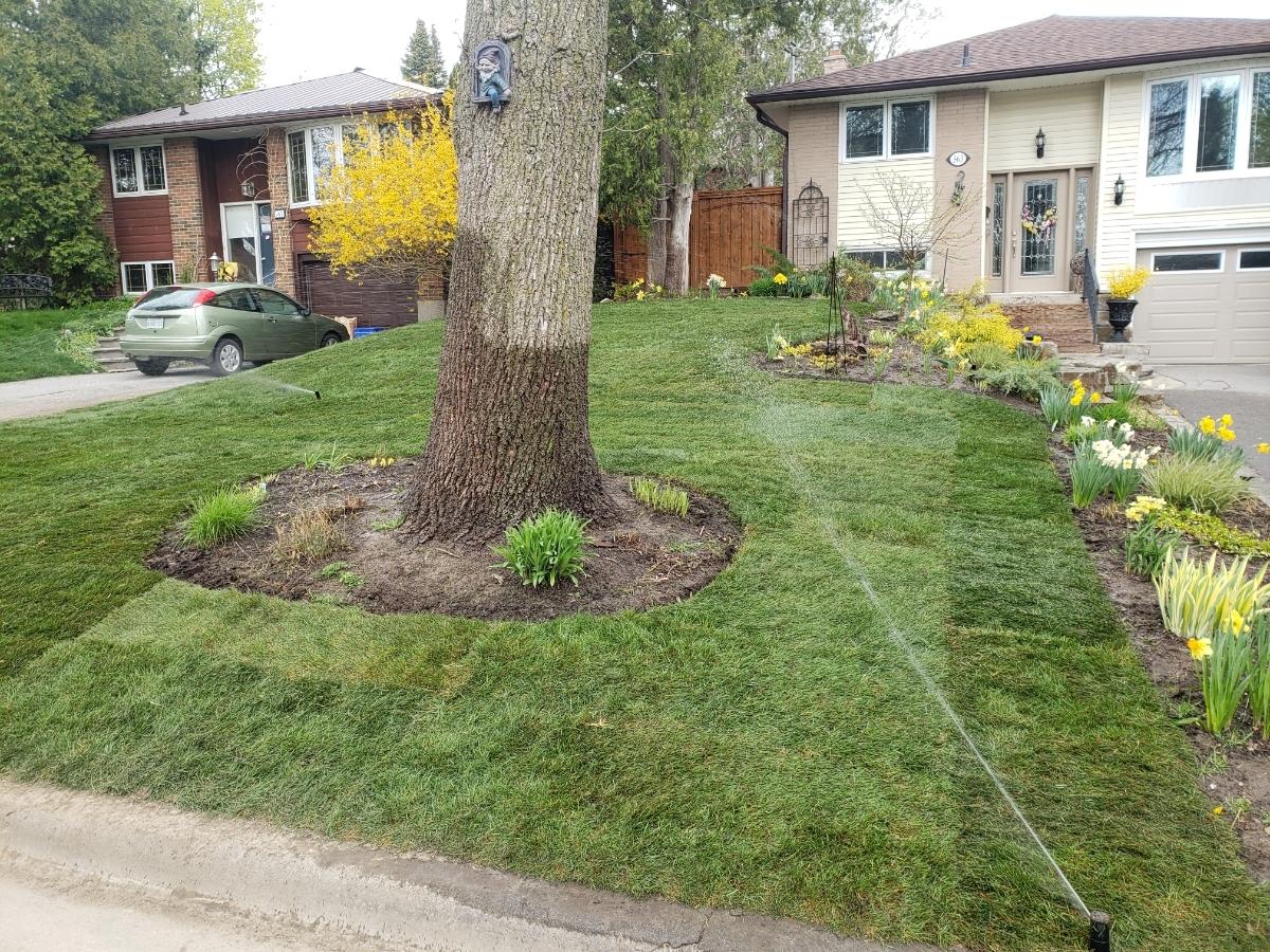Photo credit: homestars