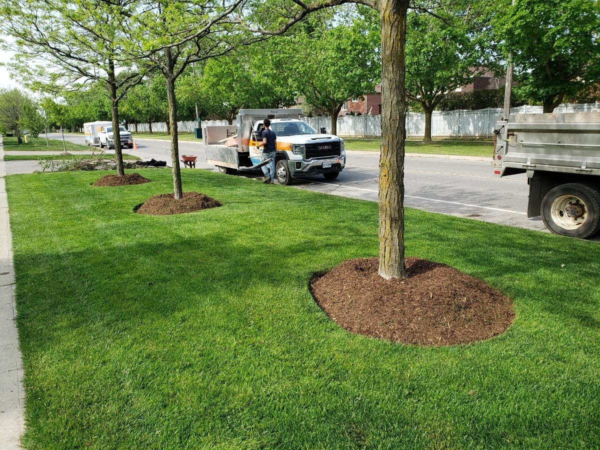 Photo credit: homestars