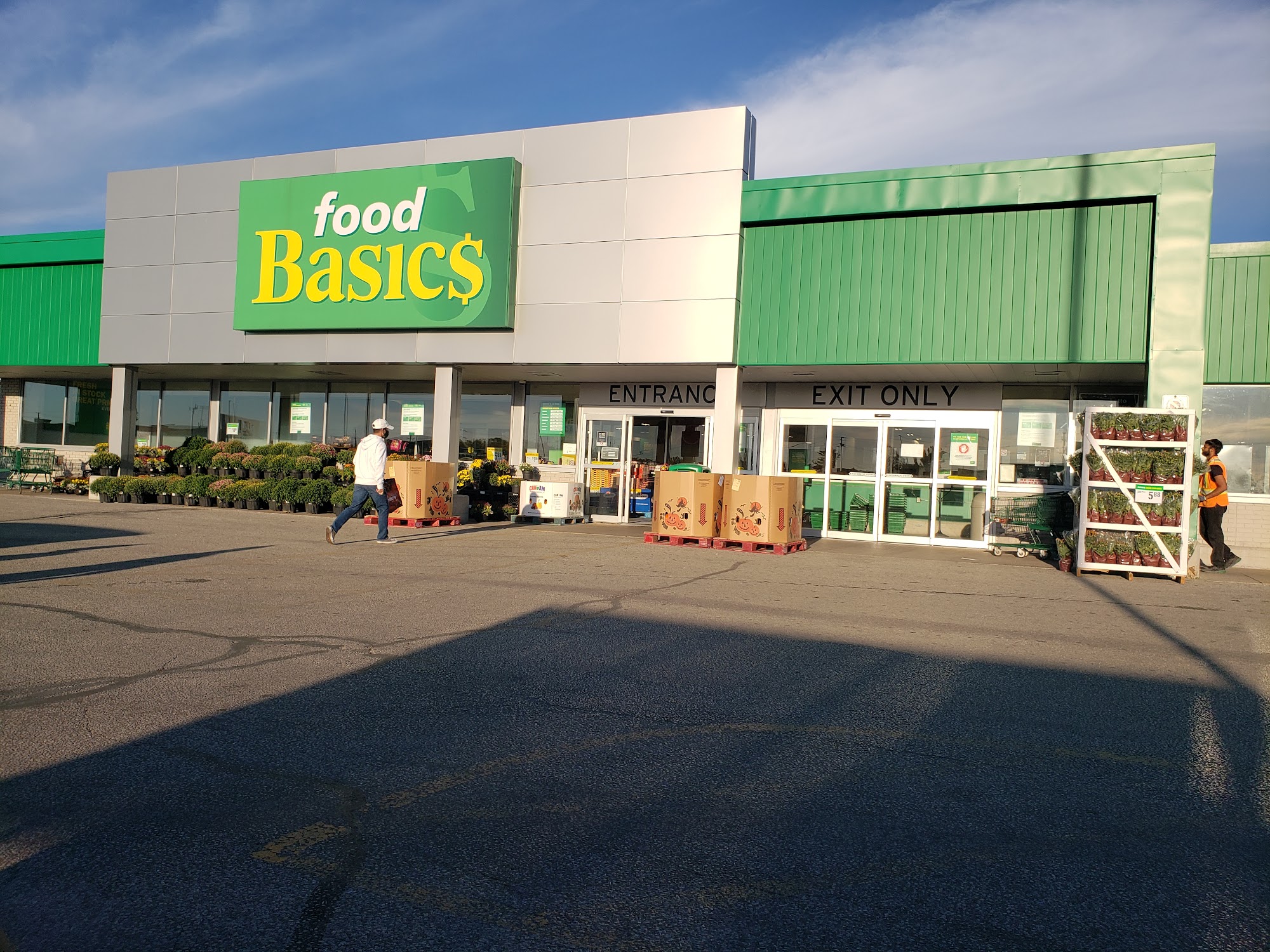 Food Basics