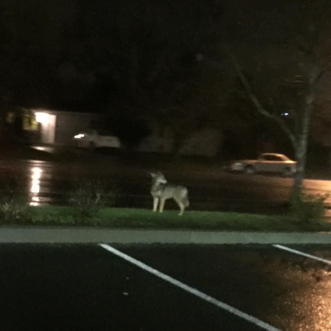 Photo credit: nextdoor