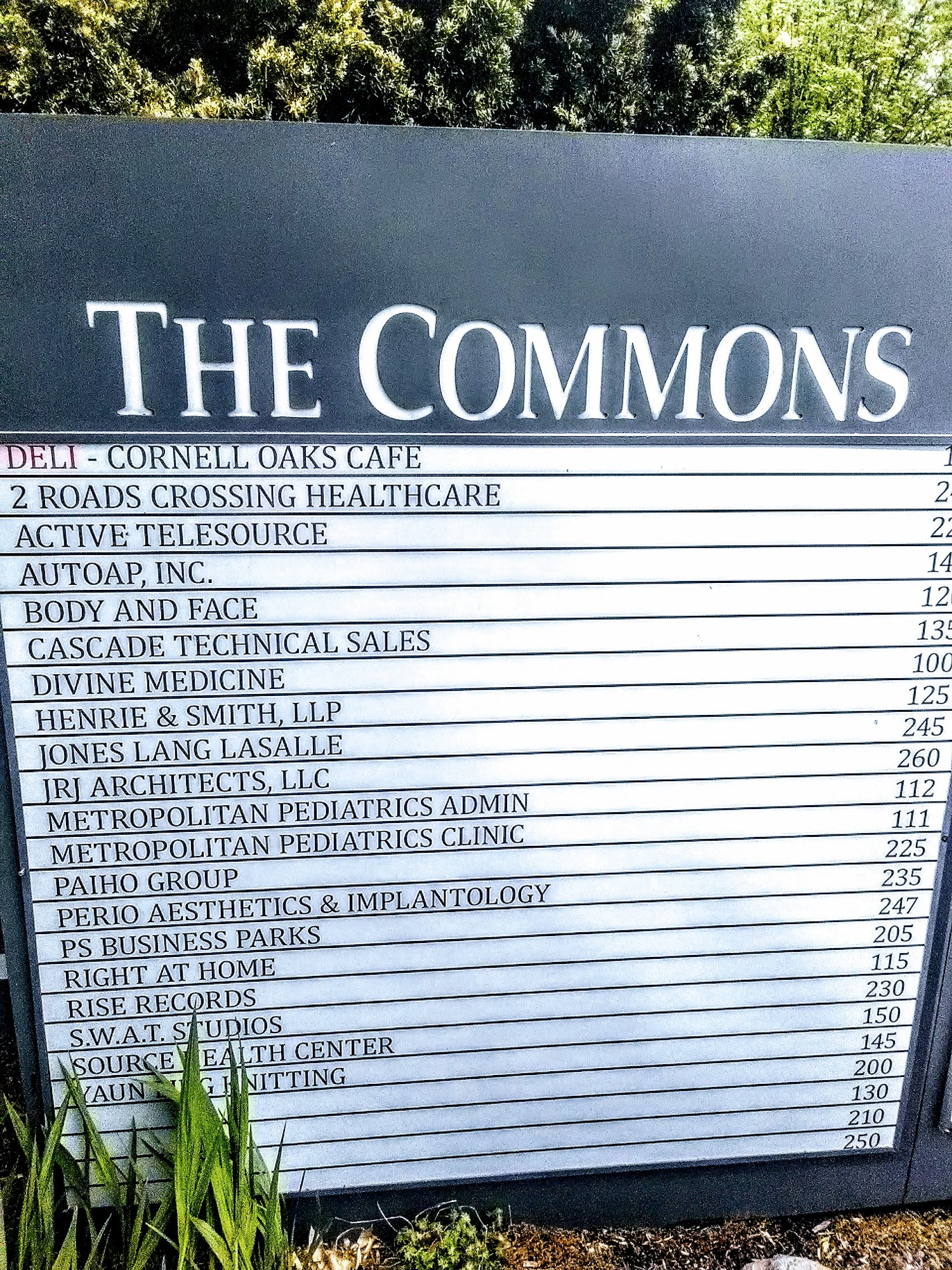 Photo credit: Google