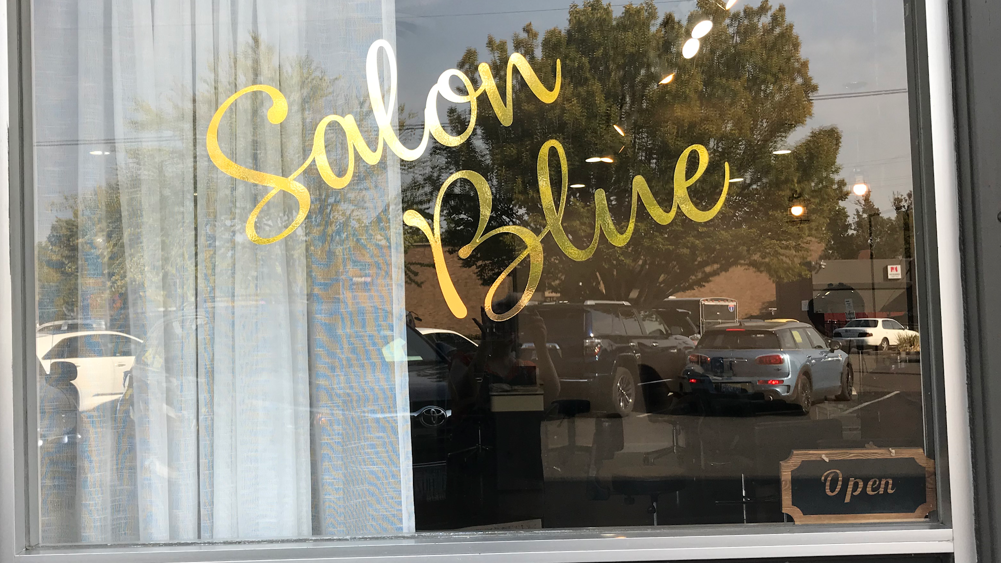 Salon Blue PDX