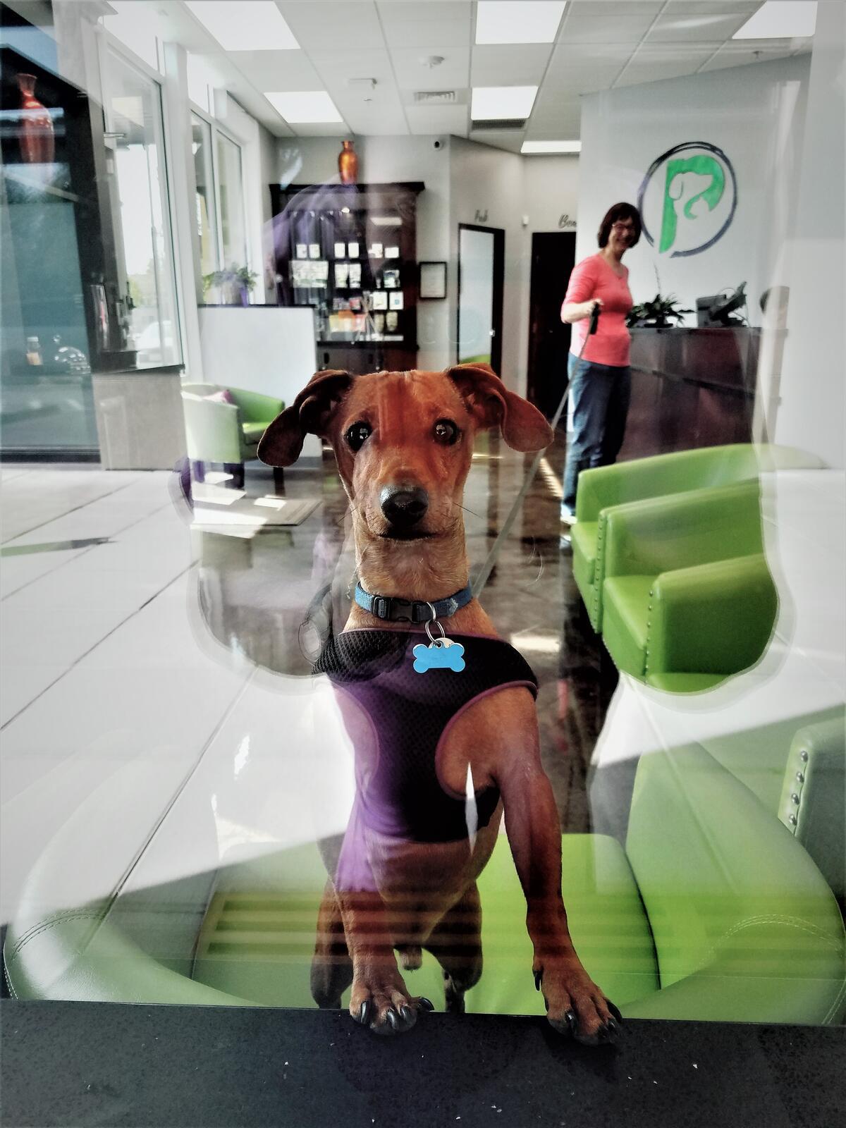 Photo credit: nextdoor
