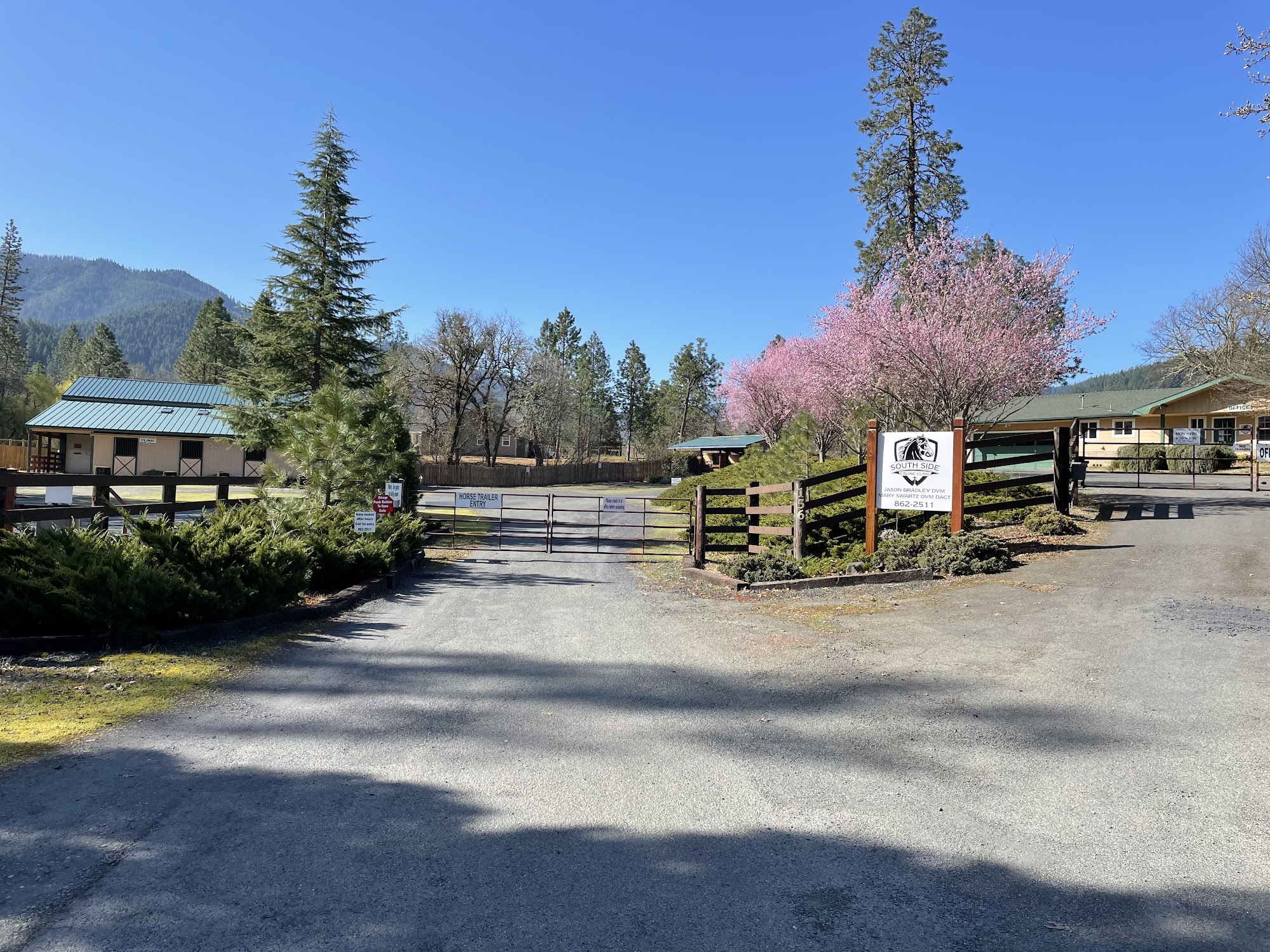 South Side Equine Clinic