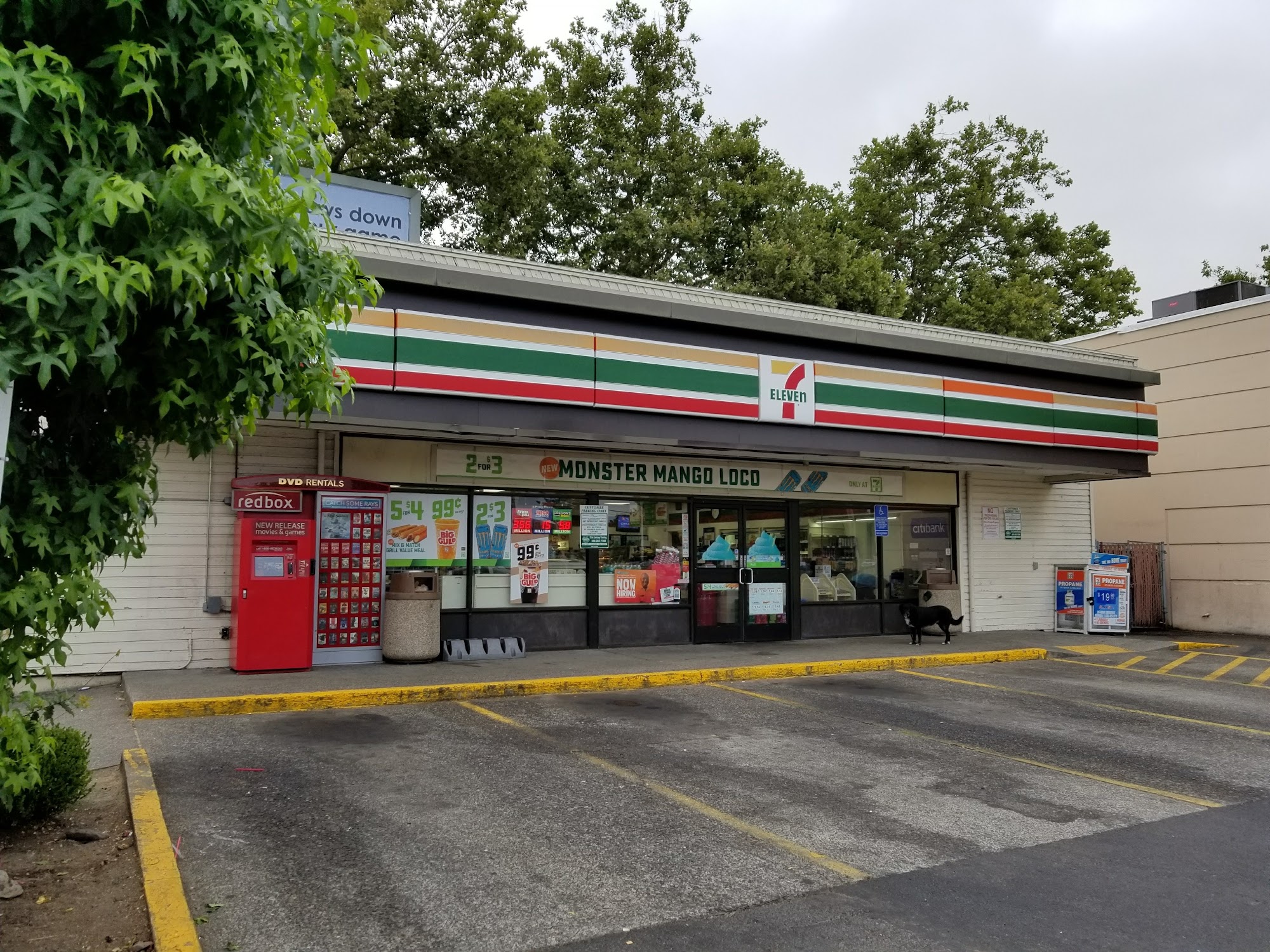 7-Eleven