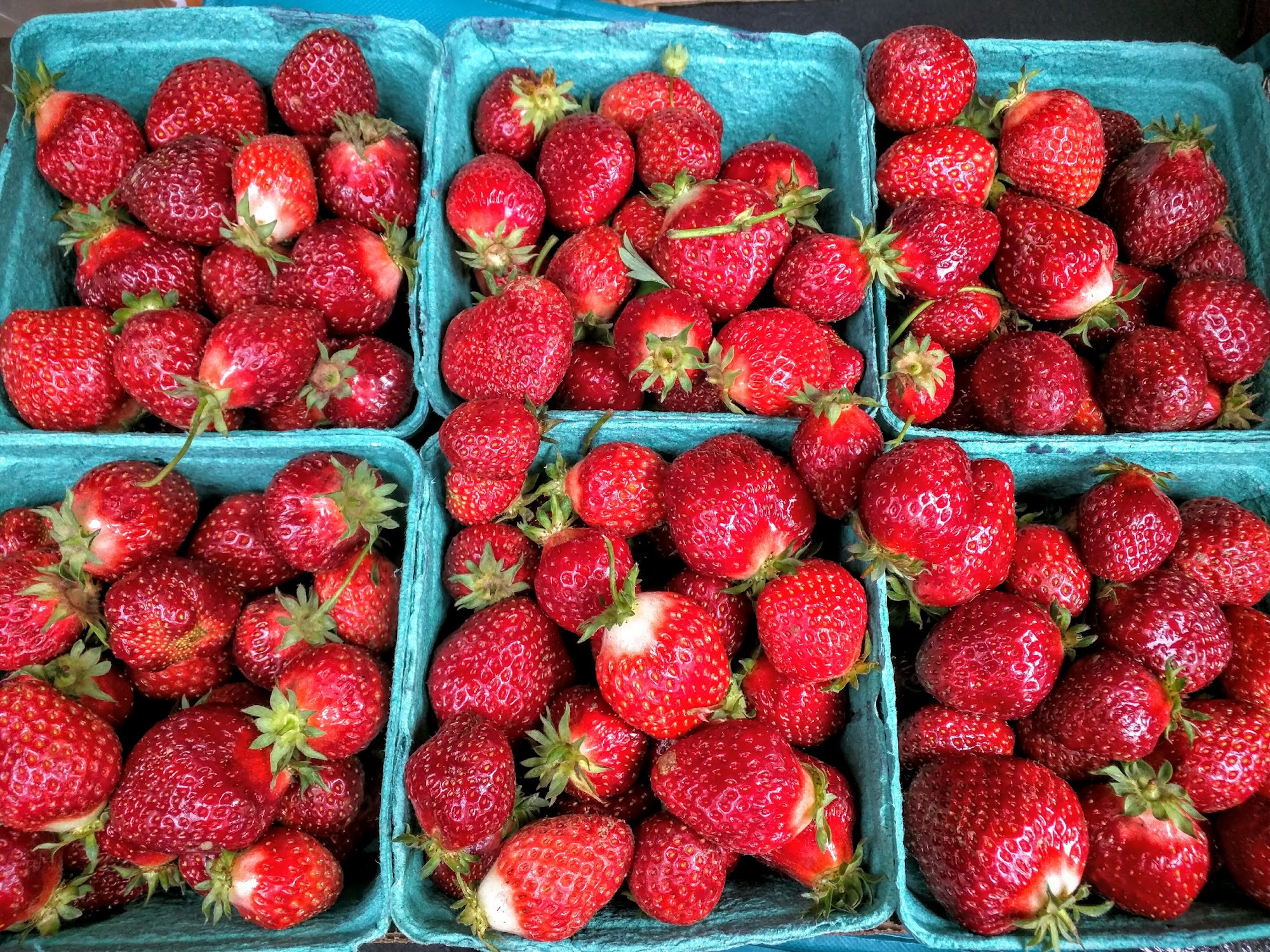Mt Hood Strawberries