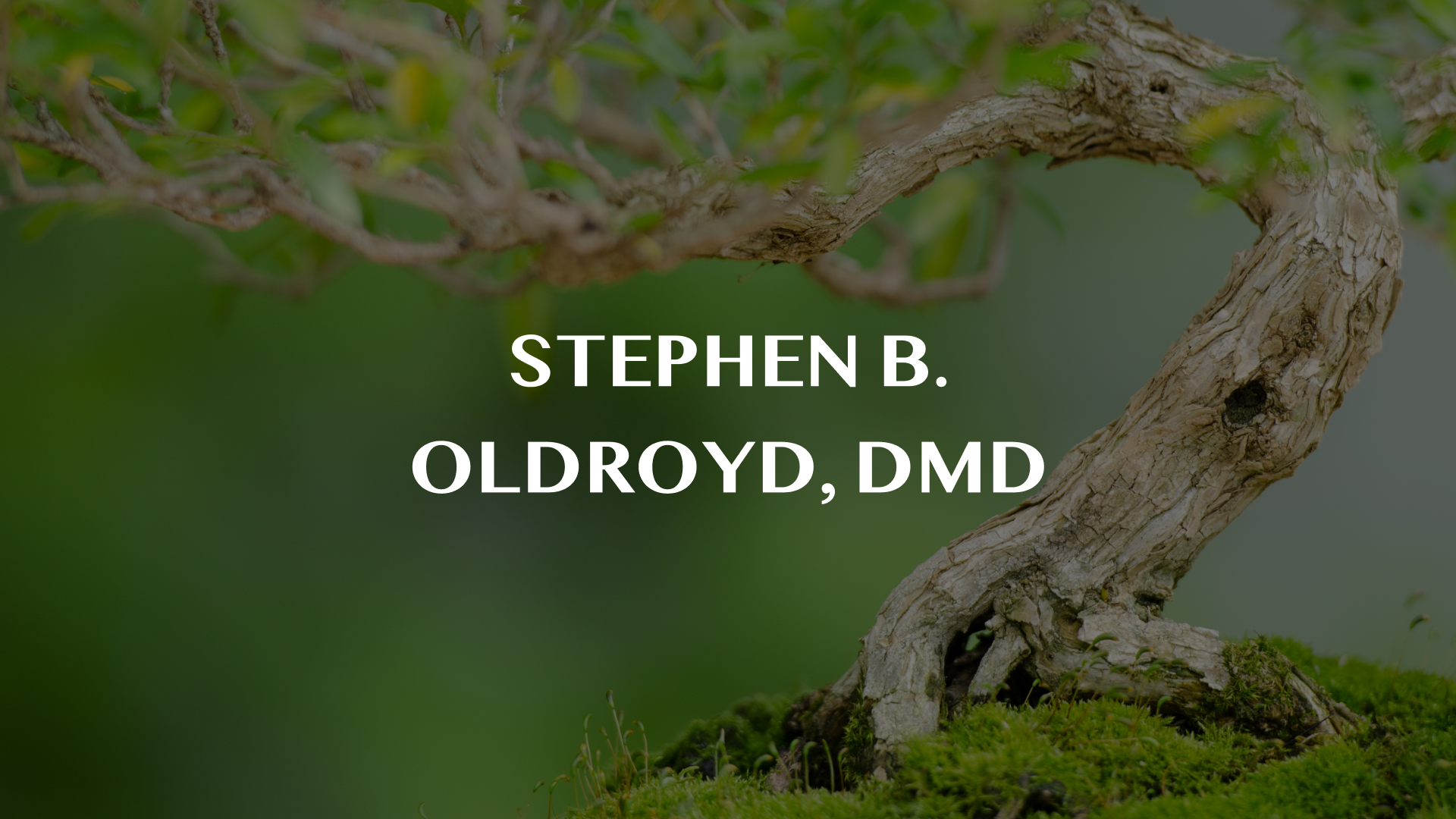 Stephen B. Oldroyd, DMD
