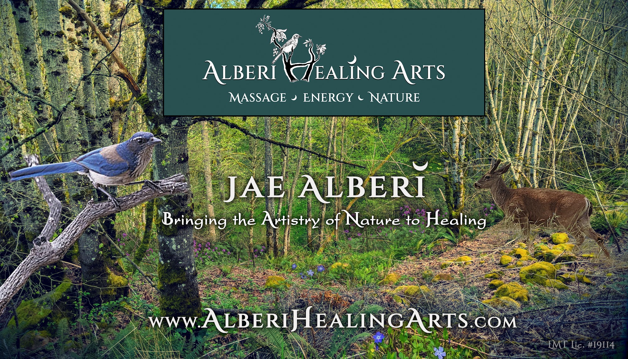 Alberi Healing Arts