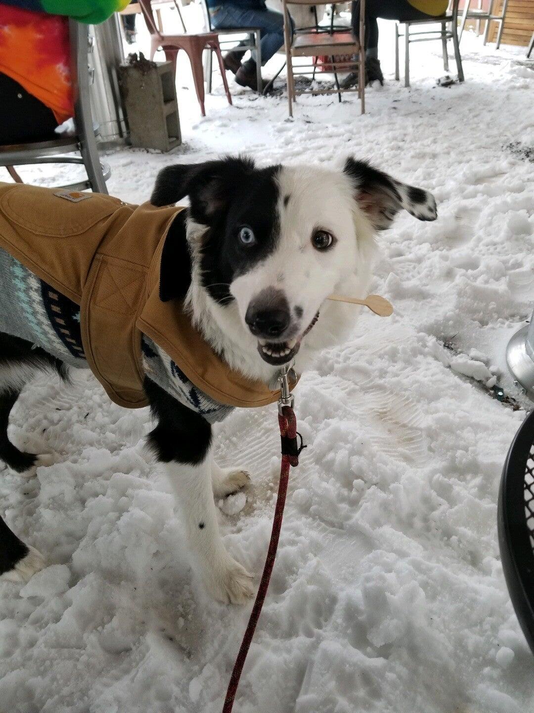 Photo credit: nextdoor