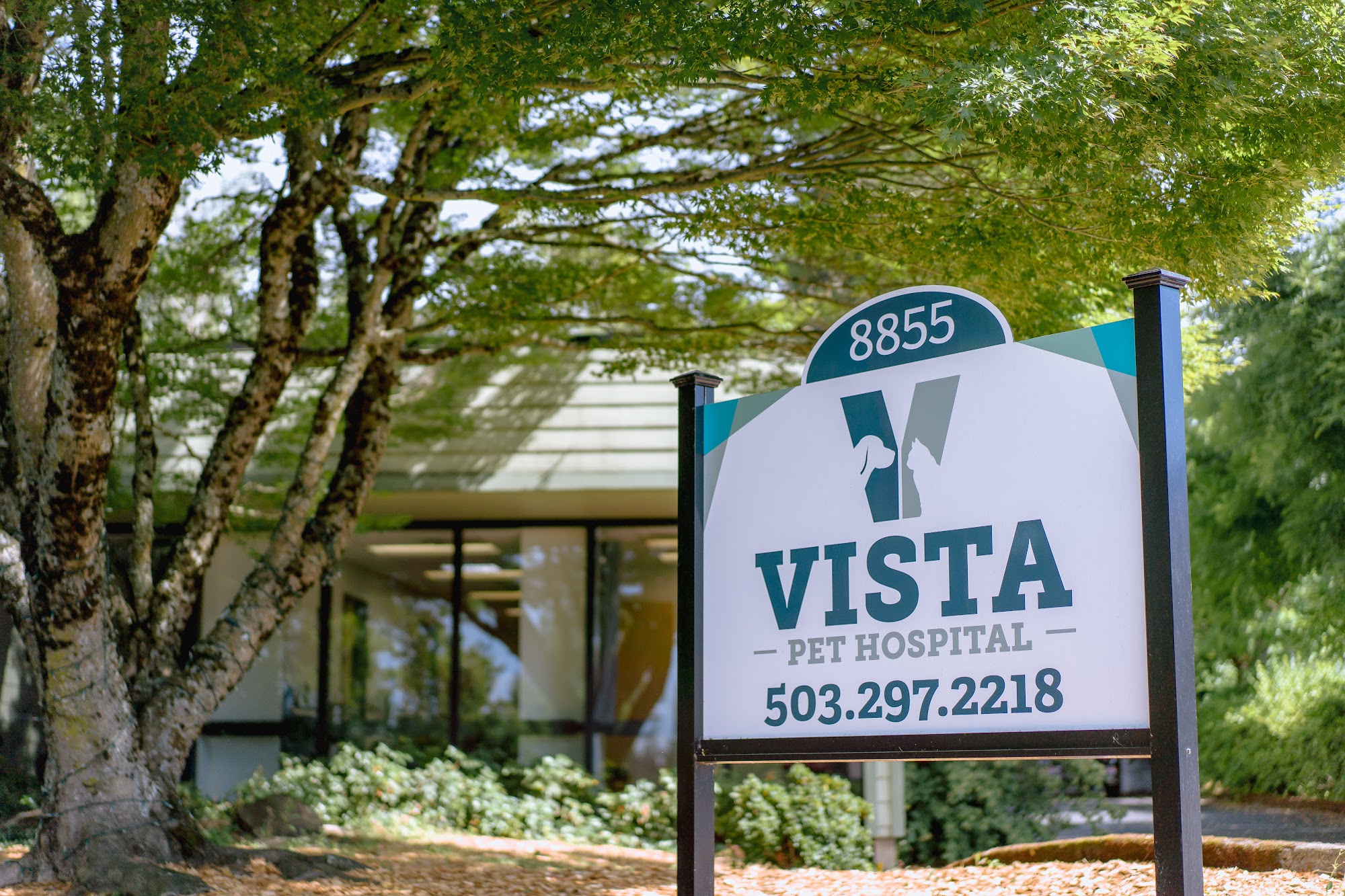 Vista Pet Hospital