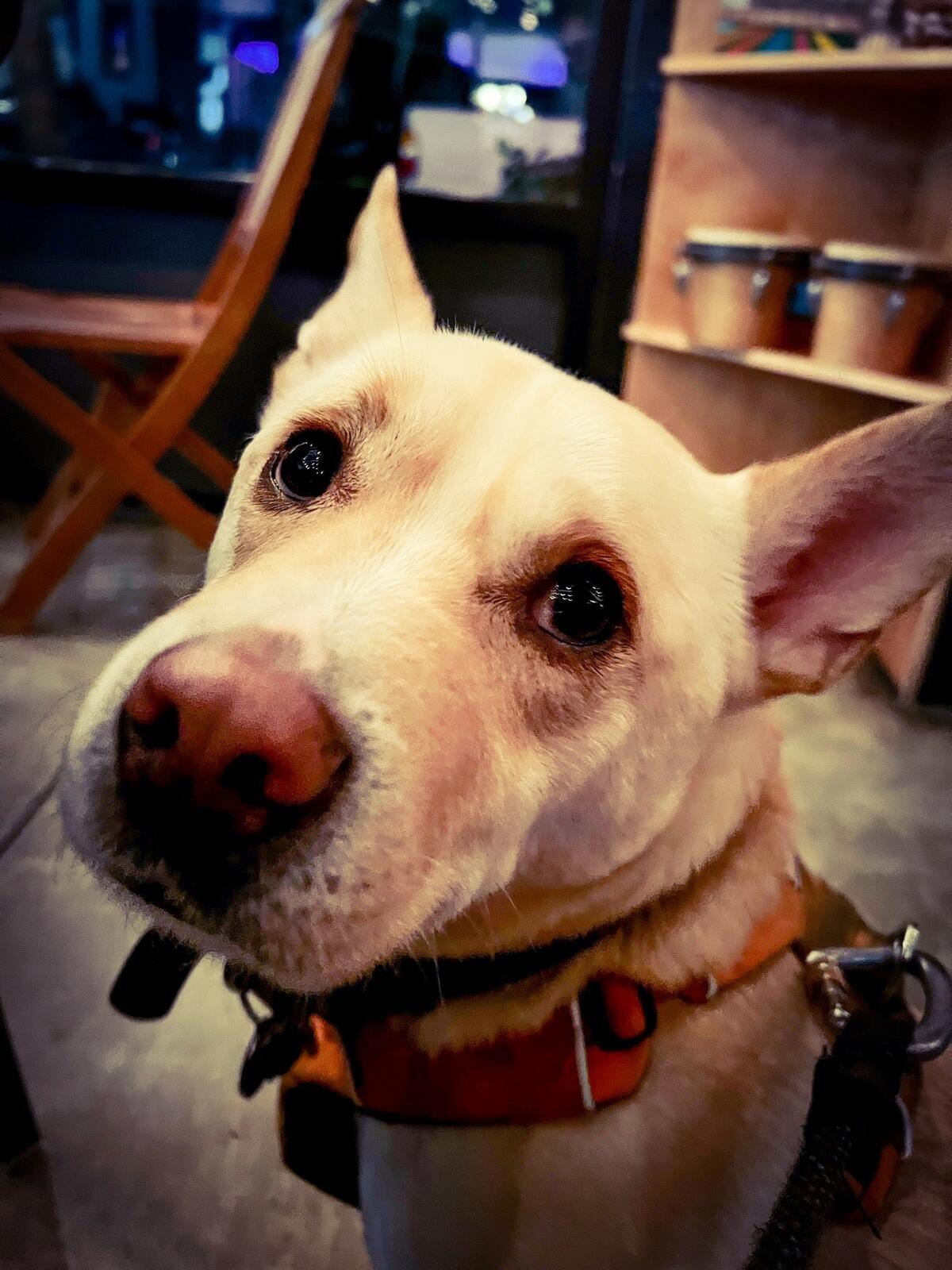 Photo credit: nextdoor