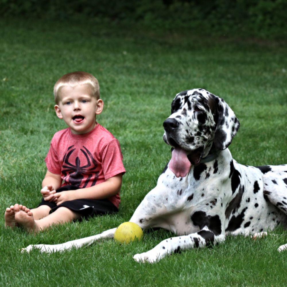 Photo credit: 