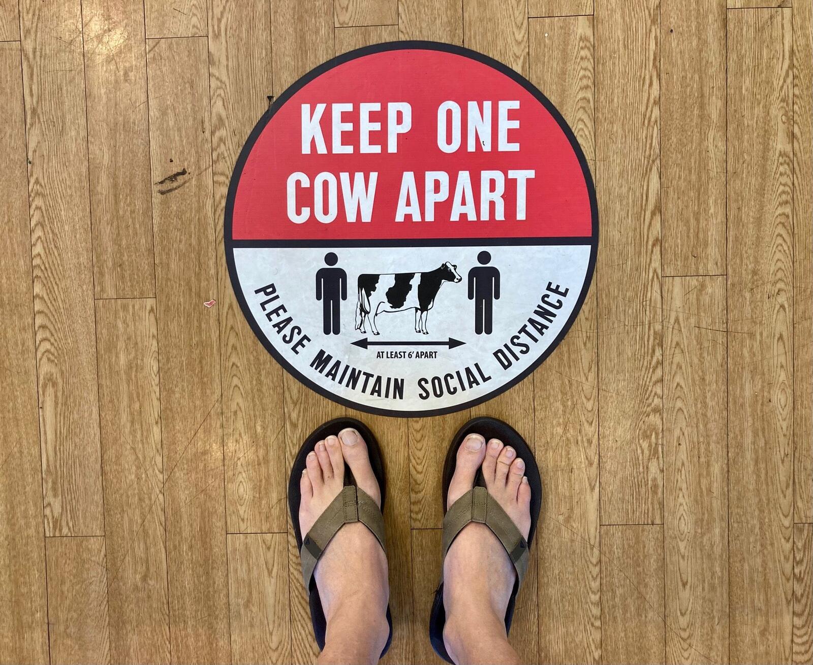 Photo credit: nextdoor