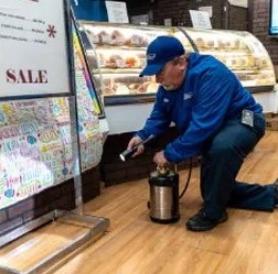 Photo credit: yellowpages