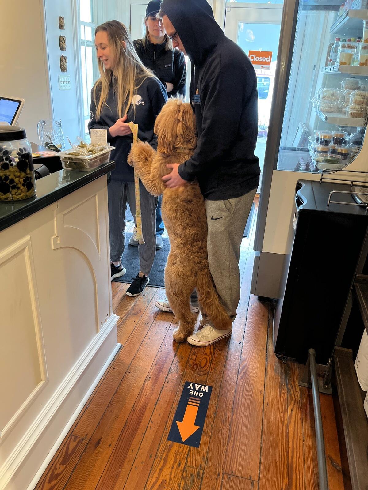 Photo credit: nextdoor