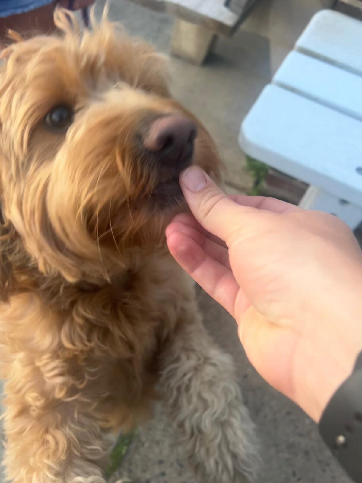 Photo credit: nextdoor