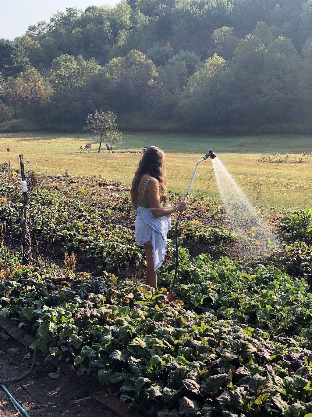 Photo credit: happycow