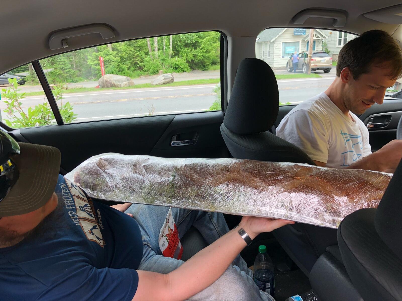 Photo credit: nextdoor